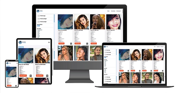 Website-Design-On-All-Devices